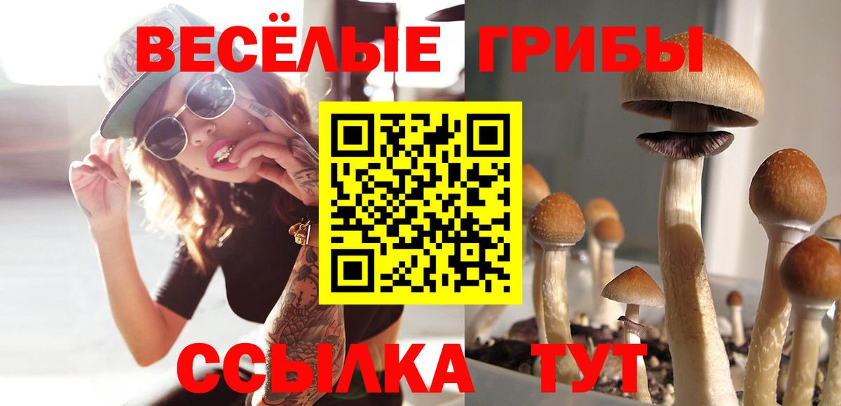 Галлюциногенные грибы Magic Shrooms Карасук
