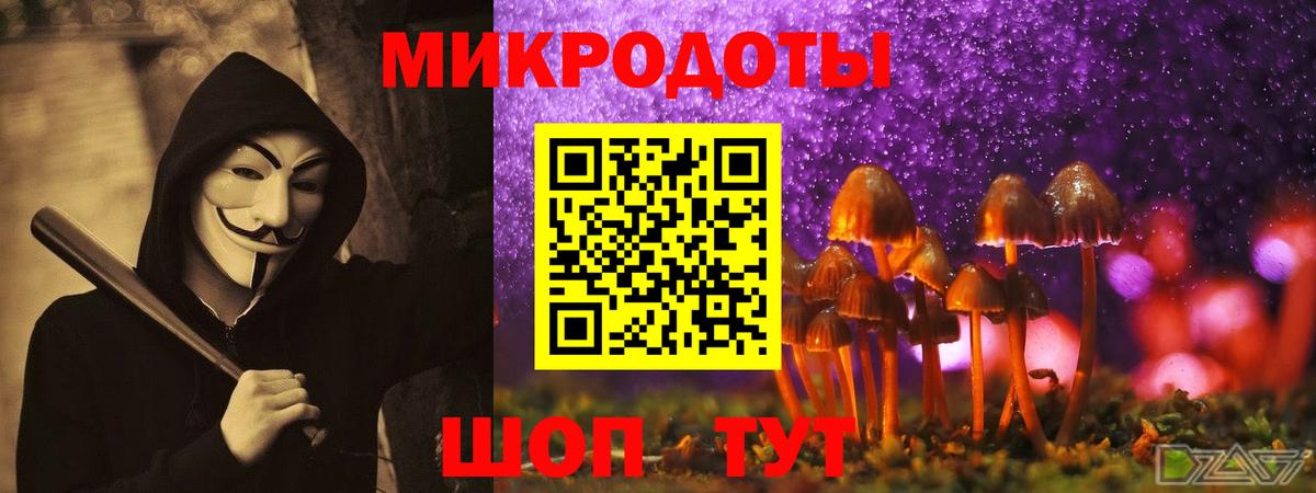купить наркотик  Галлюциногенные грибы Psilocybe  Вход с VPN  Карасук 